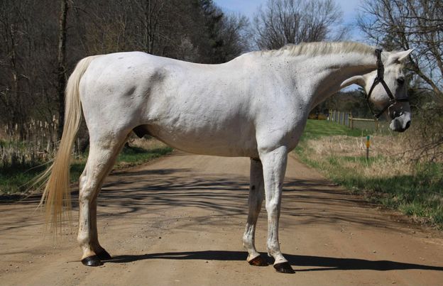 Here’s an exciting opportunity to own a big, bea