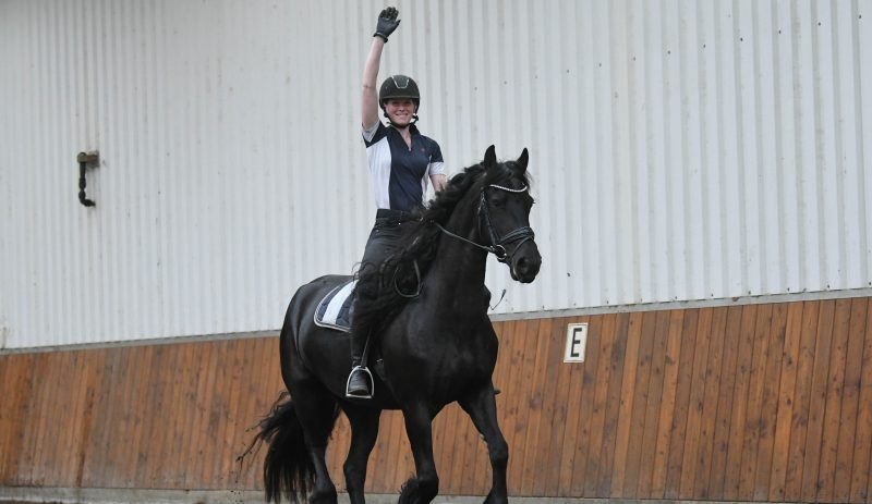 Lober-Friesian-Mare9