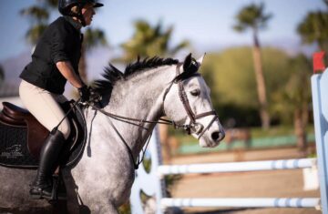 NewView-Stables-training