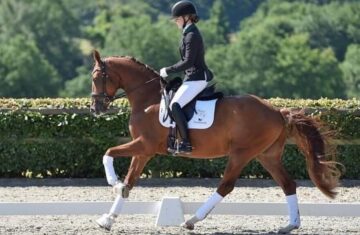 Nordentoft-dressage