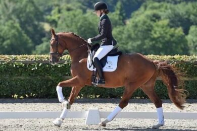 Nordentoft-dressage