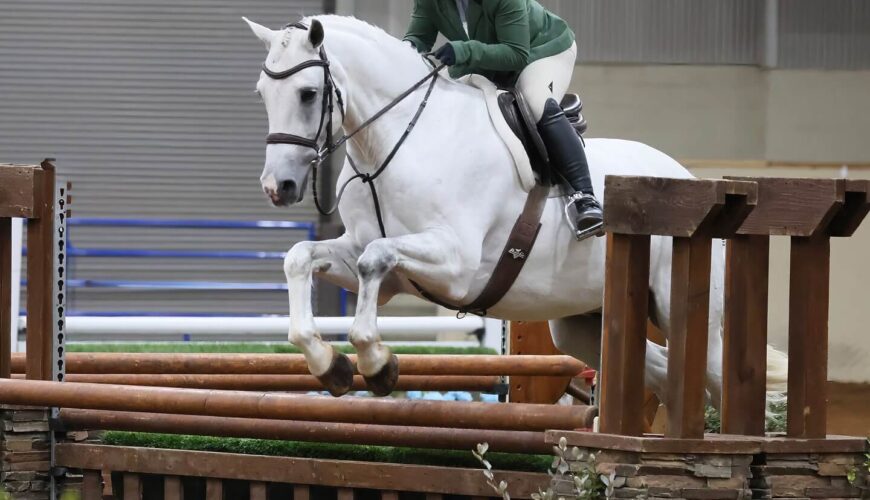 North-Texas-Equestrian