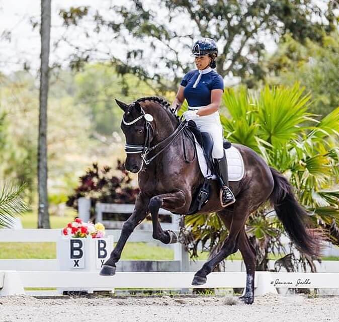 Nova Equestrian