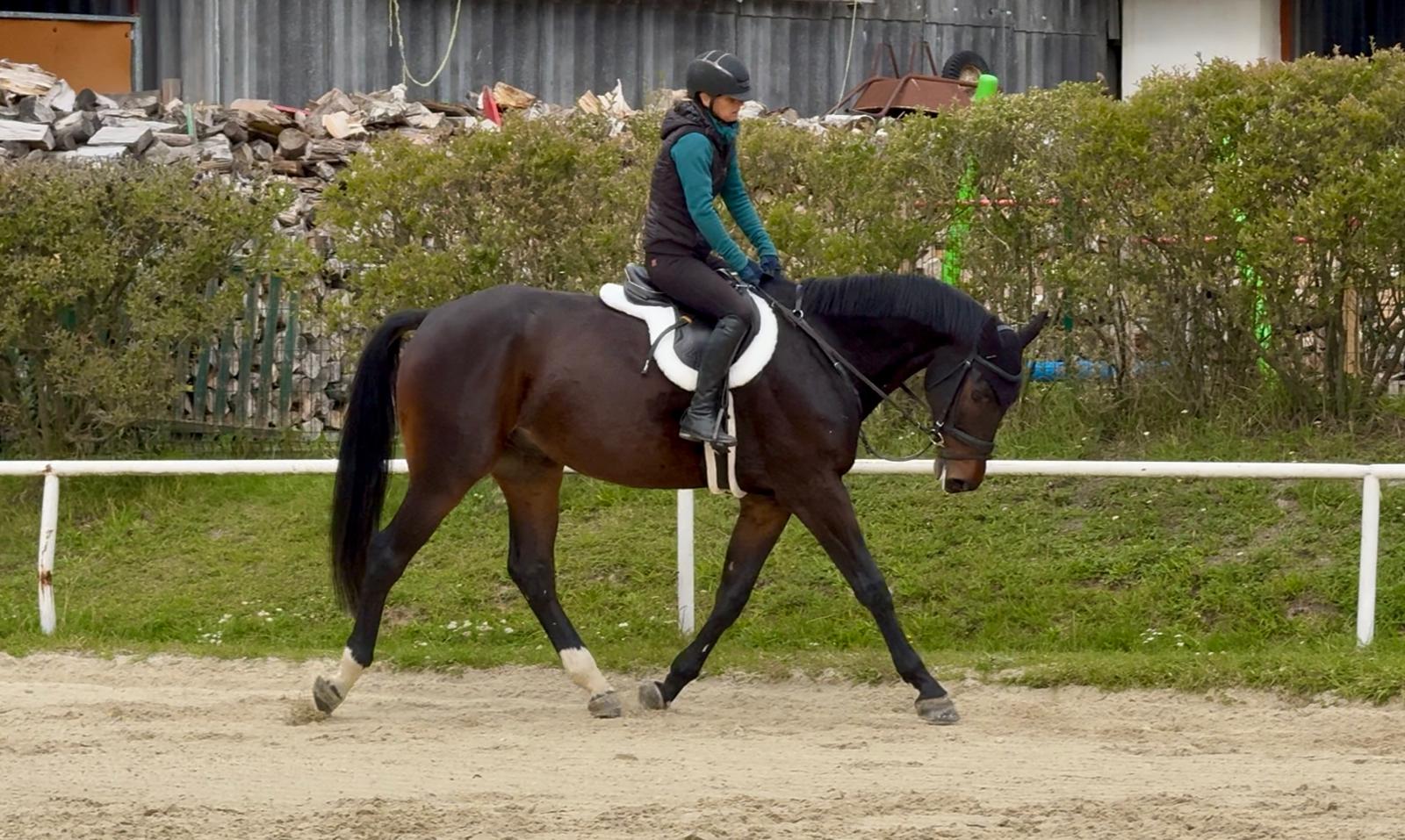 Obrazek-WhatsApp-2025-10-07-v-11.35.06_b4a8c2cc