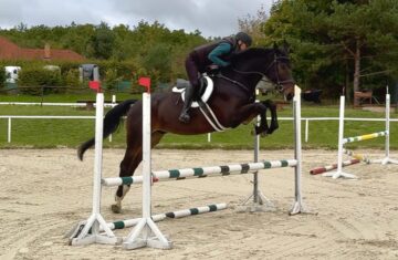 Obrazek-WhatsApp-2025-10-07-v-11.35.06_db352a7c