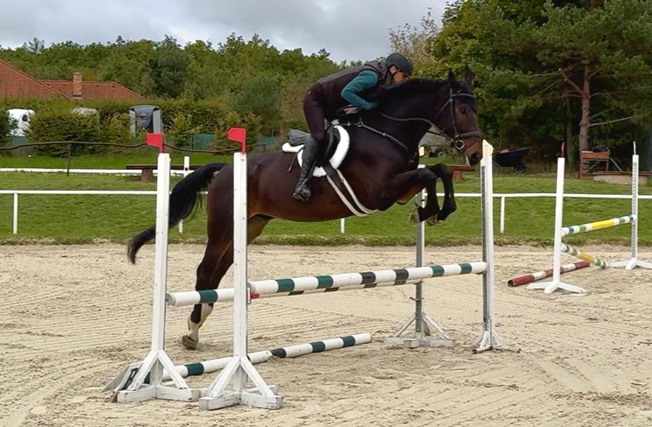 Obrazek-WhatsApp-2025-10-07-v-11.35.06_db352a7c