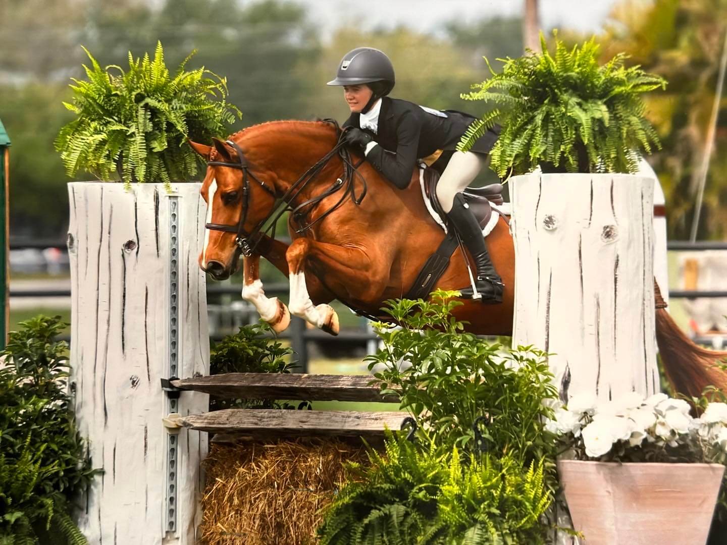 Orion-Farm-United-States