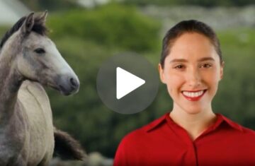 Picture-For-equestrian