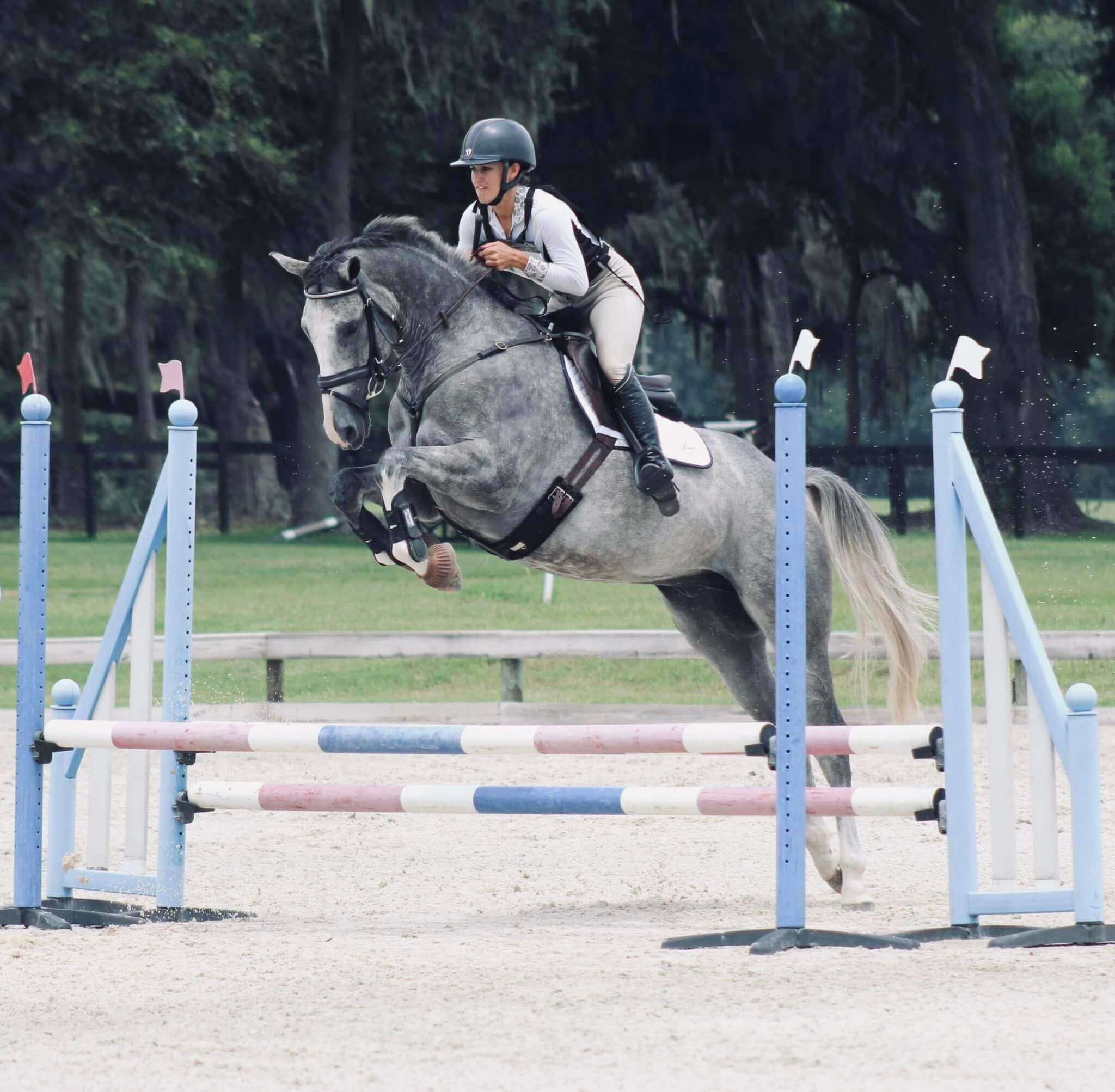 Rovira-Sport-Horse
