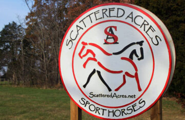 Scattered-Acres-Sport-Horses