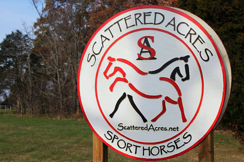Scattered-Acres-Sport-Horses
