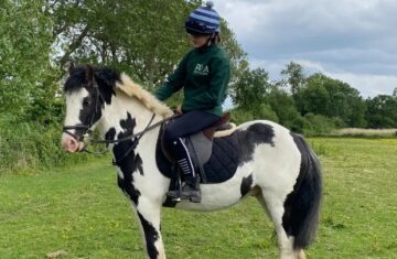 Screenshot_20250720-115639