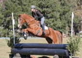 Setters-Run-Farm