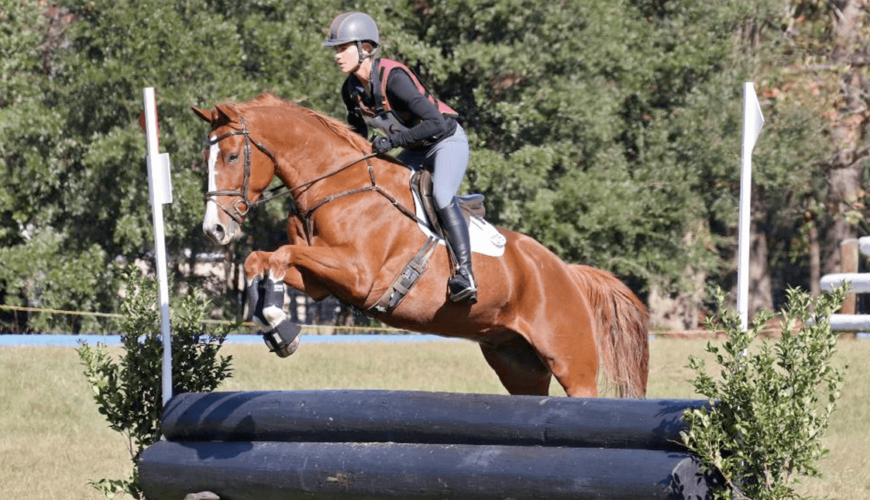 Setters’ run farm