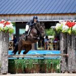 Show-Jumping-Horses