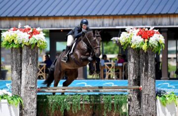 Show-Jumping-Horses