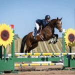 Showjumping-horses-Germany