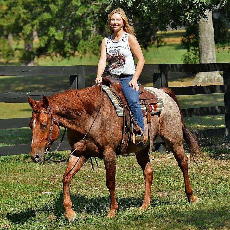 Smarty-Quarter-Gelding-1