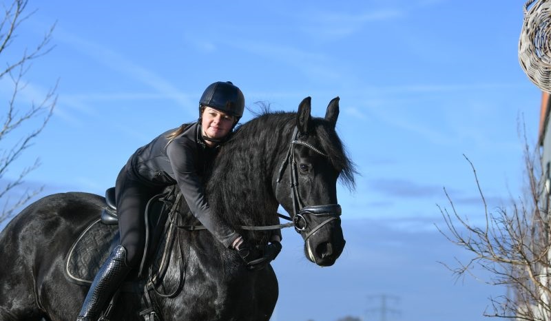 Smooth-Touch-Friesian-Mare19