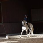 Spain-horses