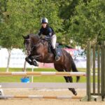Straightforward-Horses-and-ponies