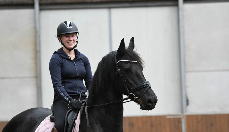 Susan-Friesian-Mare6