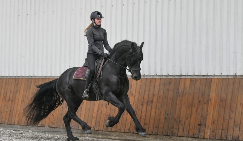Sport-Elite – smooth mover
