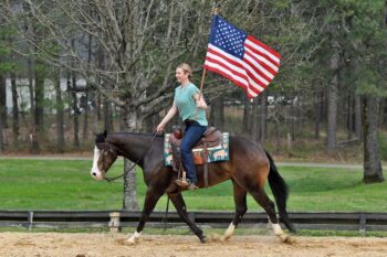 Truman-Quarter-Gelding-1
