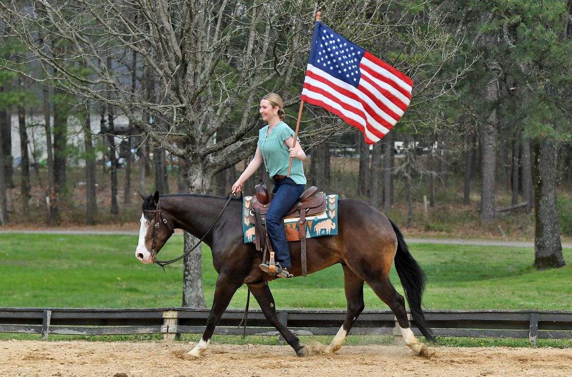 Truman-Quarter-Gelding-1