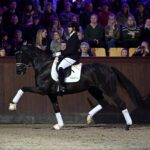 Vallentin-Dressage