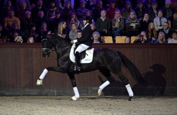 Vallentin-Dressage