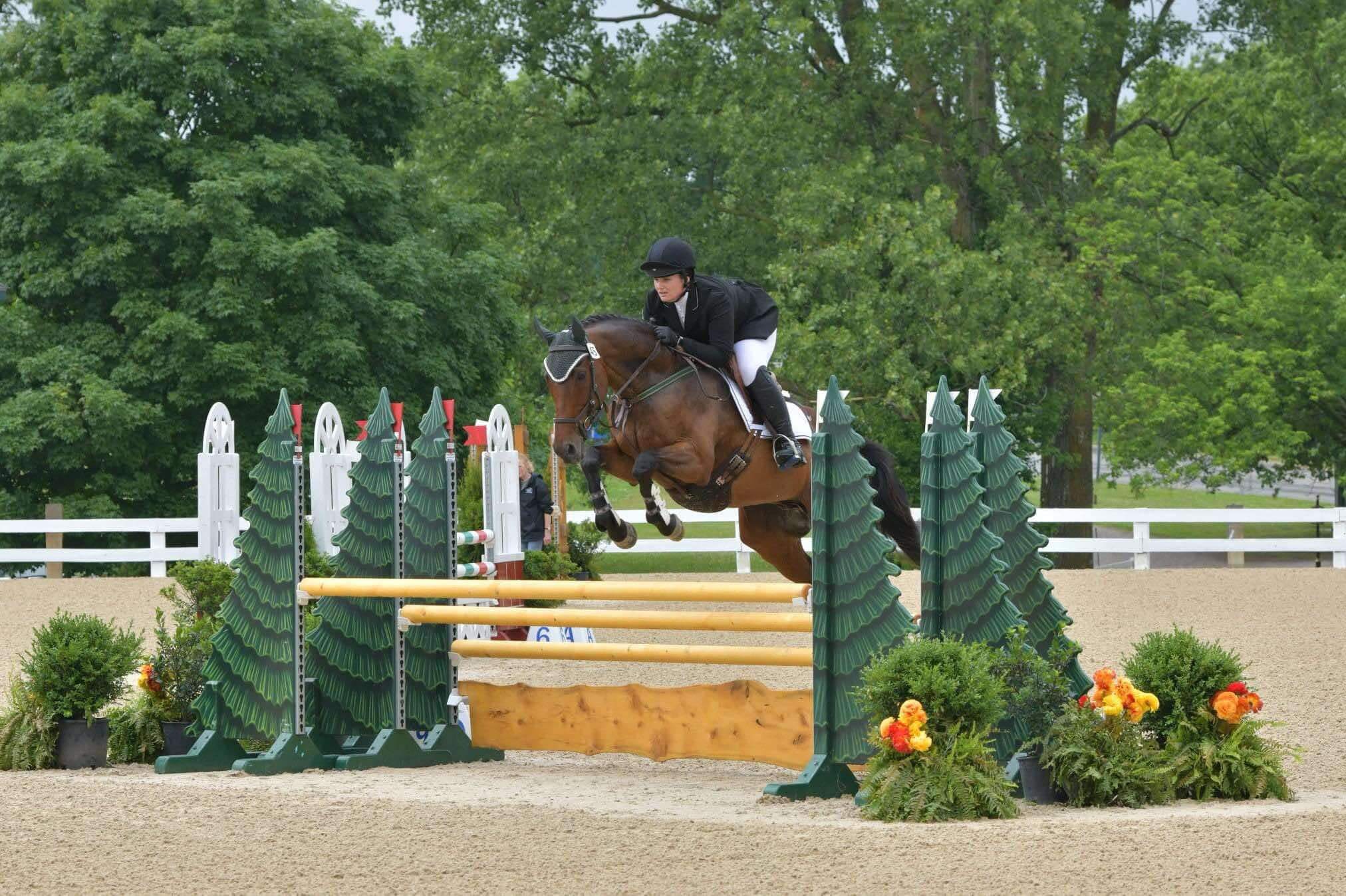 Verona-Equestrian-horses