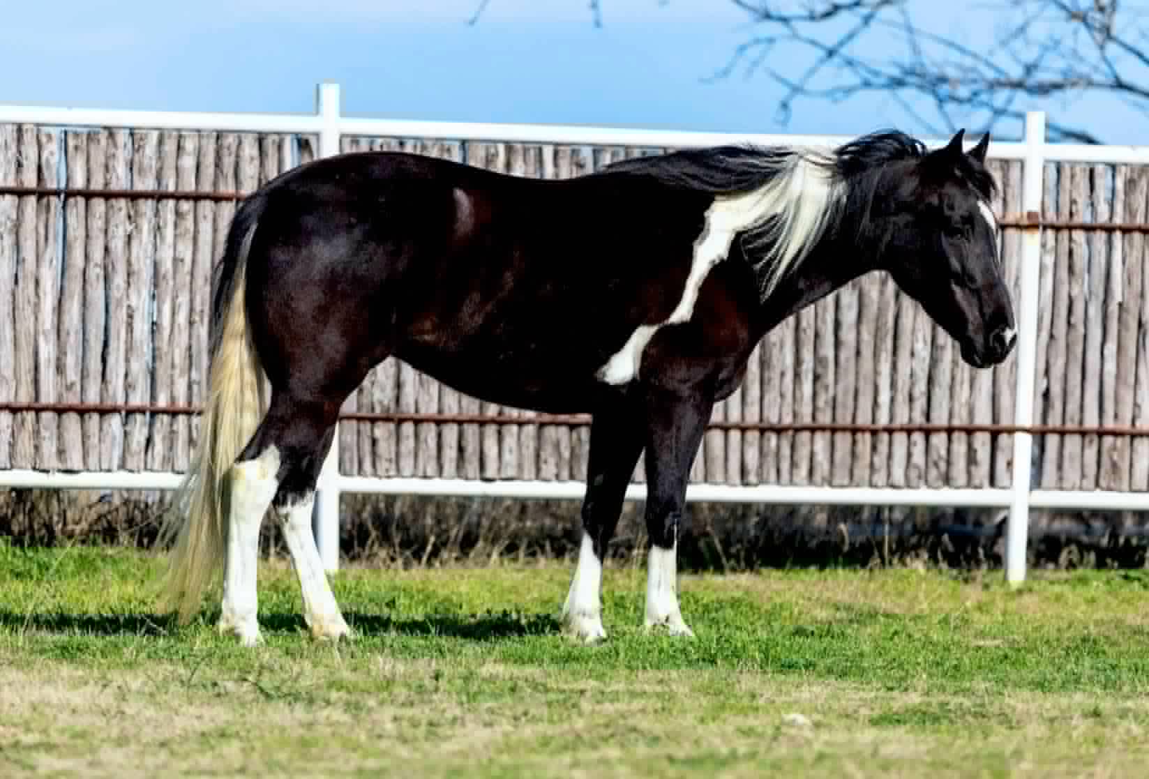 Zora-Quarter-Mare-1