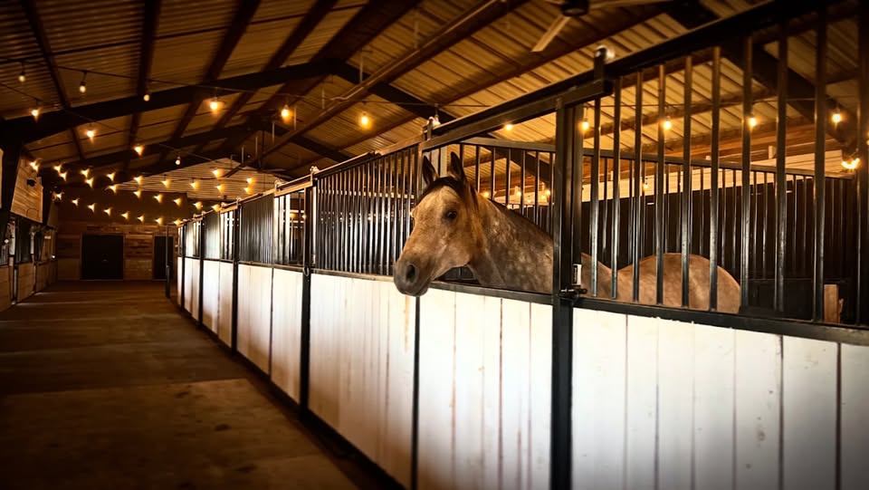 amos-stall