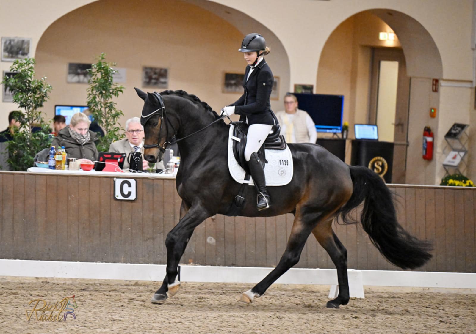 Fidenzio Versatile Horse