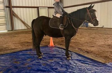 black-kid-safe-pony-nv