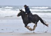 Horse riding holidays in Ireland