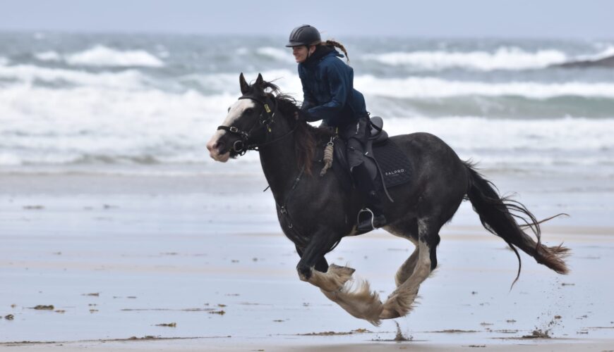 Horse riding holidays in Ireland