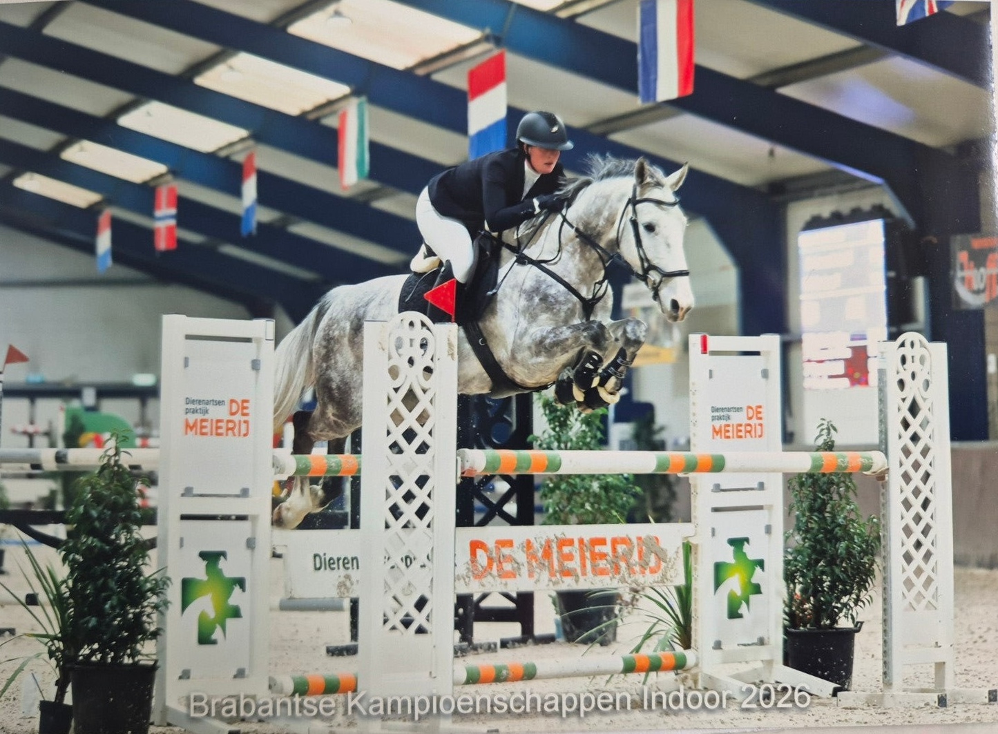 Springpaard