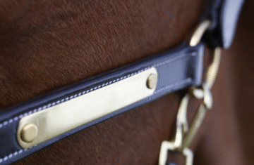 imgi_15_LeatherHalterBrown5