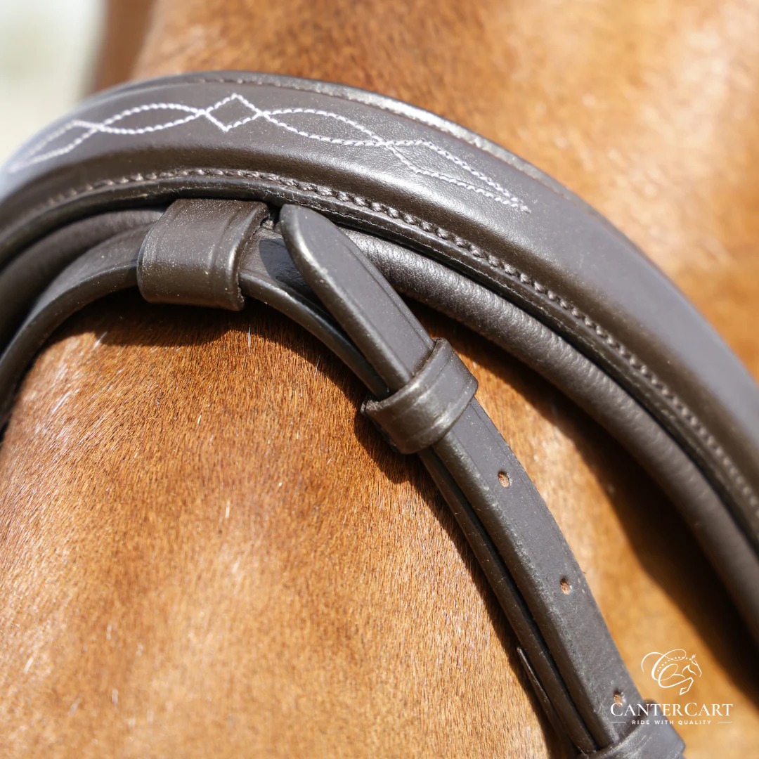 imgi_30_BridlewFlashNoseband3