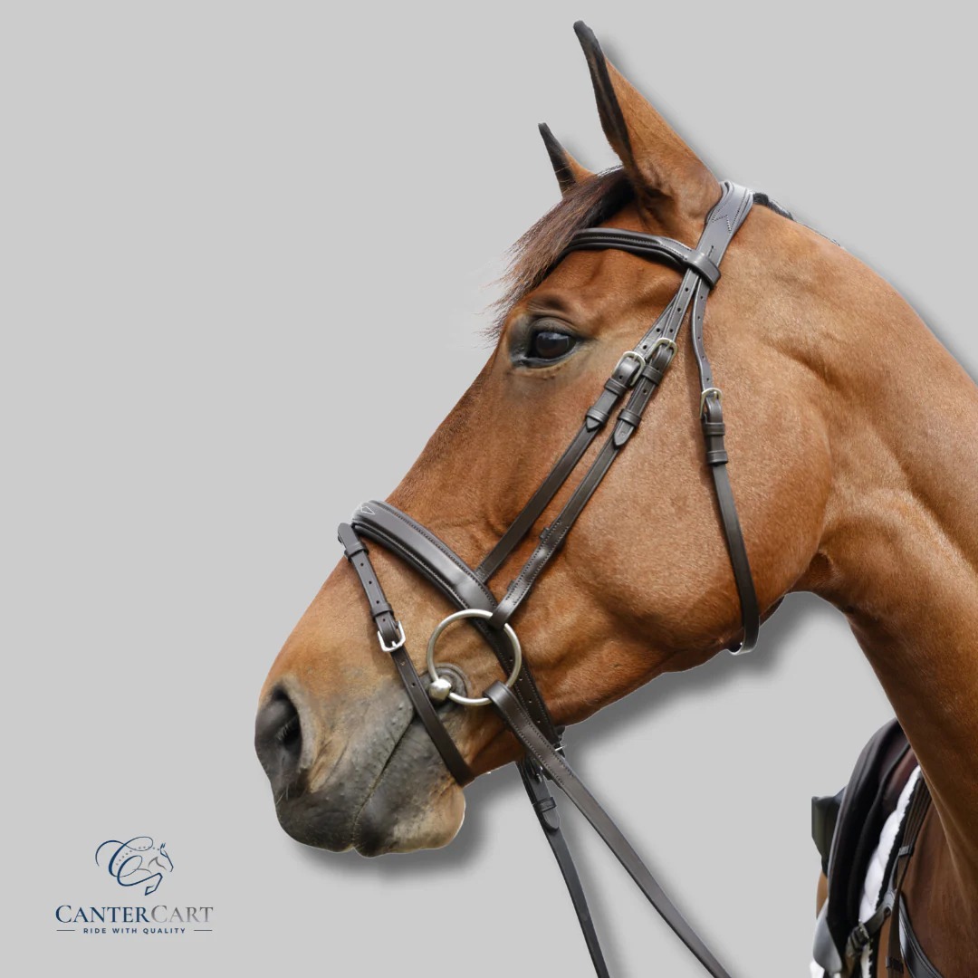 imgi_34_BridlewFlashNoseband5