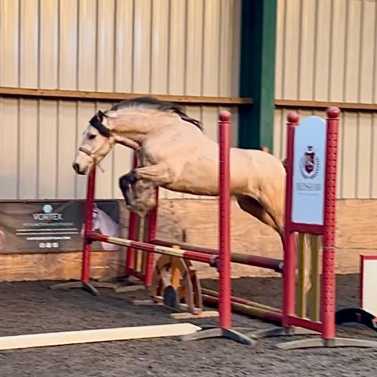 joshaw_equestrian-20251120-0005