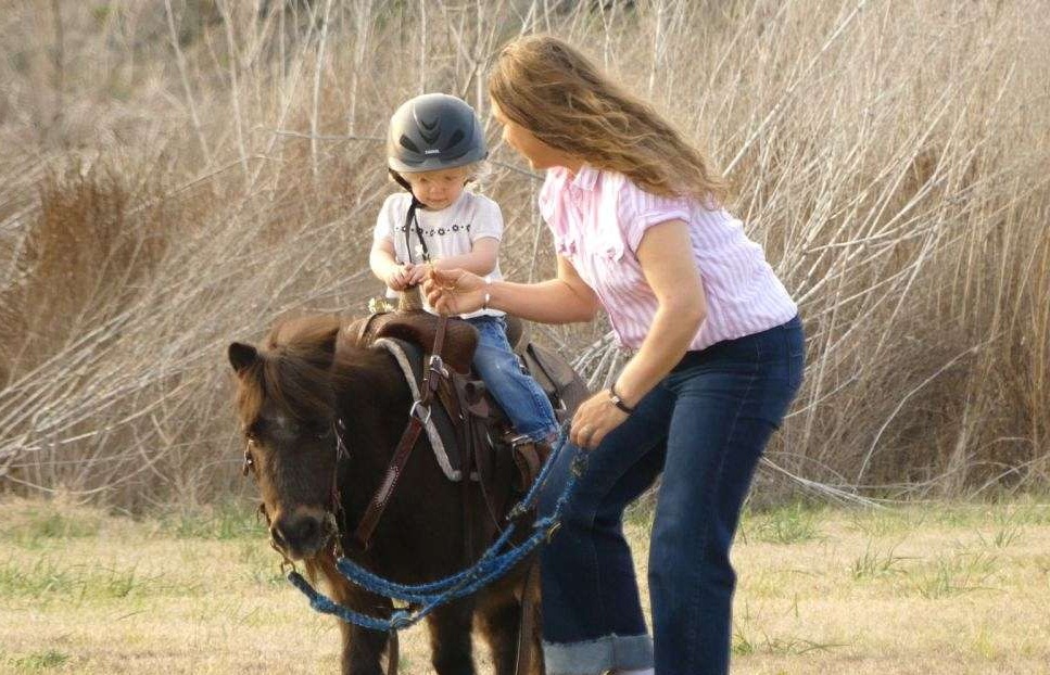 playday-pony-