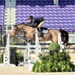 sport-horse-USA