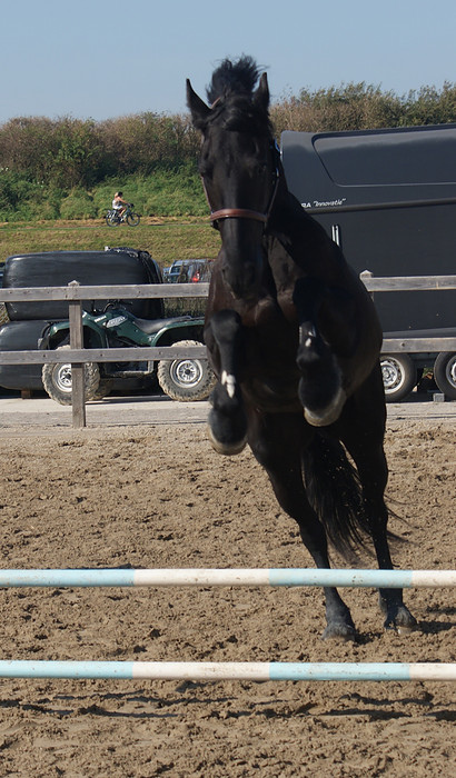 unnamed-file-1