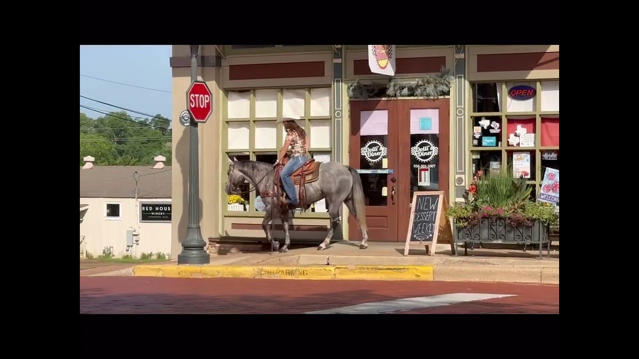 Video Thumbnail: Kemo