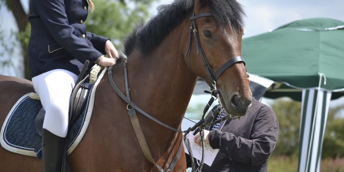 Working equitation training guide