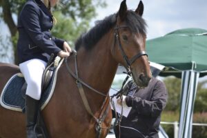 Working equitation training guide
